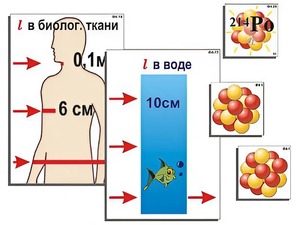 Модель-аппликация "Явление радиоактивности" (ламинированная) - fgospostavki.ru - Грозный