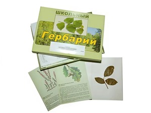 Гербарий "Дикорастущие растения" (30 видов, с иллюстрациями) - fgospostavki.ru - Грозный