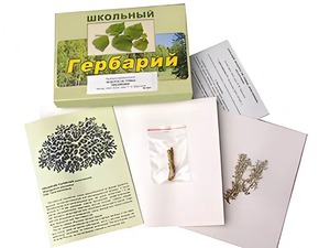 Гербарий "Водоросли. Грибы. Лишайники" (раздаточный) - fgospostavki.ru - Грозный