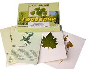 Гербарий "Систематика растений. Высшие споровые и семенные" (раздаточный) - fgospostavki.ru - Грозный
