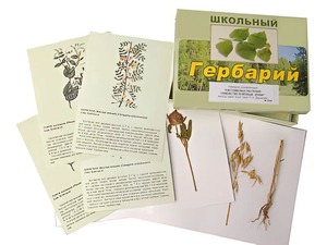 Гербарий "Систематика растений. Семейство Бобовые. Злаки" (раздаточный) - fgospostavki.ru - Грозный