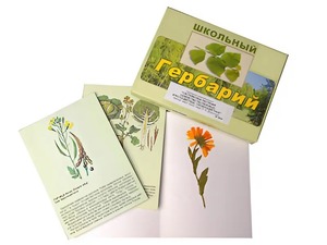 Гербарий "Систематика растений. Семейство Пасленовые. Крестоцветные. Сложноцветные" (раздаточный) - fgospostavki.ru - Грозный