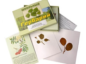 Гербарий "Систематика растений. Семейство Розоцветные" (раздаточный) - fgospostavki.ru - Грозный