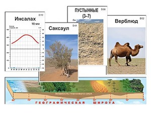 Модель-аппликация "Природные зоны" - fgospostavki.ru - Грозный