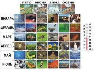 Фенологические наблюдения - fgospostavki.ru - Грозный