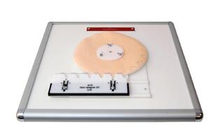 Комплекс "Изучение зубьев" - fgospostavki.ru - Грозный