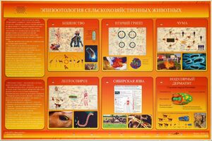 Электрифицированный стенд «Эпизоотология сельскохозяйственных животных» - fgospostavki.ru - Грозный