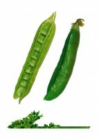 Комплект карточек "Запоминай, играй, считай" - Овощи - fgospostavki.ru - Грозный