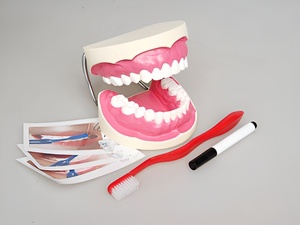 Игровой комплект "Чистим зубы" - fgospostavki.ru - Грозный