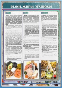 Стенд "Белки. Жиры. Углеводы" - fgospostavki.ru - Грозный