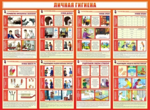 Стенд "Личная гигиена" - fgospostavki.ru - Грозный