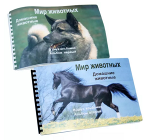 Пособие для слабовидящих - Домашние животные - fgospostavki.ru - Грозный