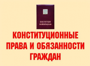 Комплект плакатов "Конституционные права и обязанности граждан" - fgospostavki.ru - Грозный