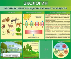 Стенд "Экология. Организация и функционирование сообществ" - fgospostavki.ru - Грозный