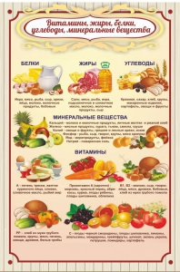Стенд "Витамины, жиры, белки" - fgospostavki.ru - Грозный