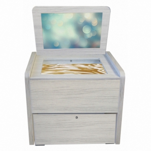 Сундучок психолога-дефектолога "Антошка" - fgospostavki.ru - Грозный