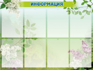 Стенд "Информация" Вариант 13 - fgospostavki.ru - Грозный