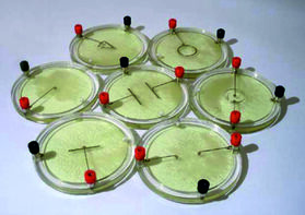 Демонстрационный комплект «Силовые линии электрического поля разных систем зарядов» - fgospostavki.ru - Грозный