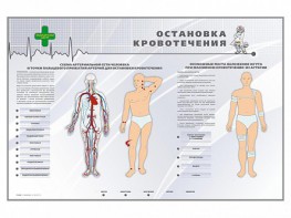 Электрифицированный стенд "Остановка кровотечения" - fgospostavki.ru - Грозный