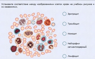 Интерактивные курсы. Биология 11 класс. Расширенный. - fgospostavki.ru - Грозный