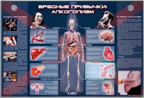 Электрифицированный стенд "Вредные привычки: алкоголизм" - fgospostavki.ru - Грозный