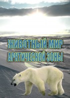 DVD "Животный мир Арктической зоны" - fgospostavki.ru - Грозный
