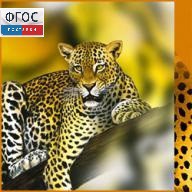 Зоология. (Цифровая база изображений) - fgospostavki.ru - Грозный