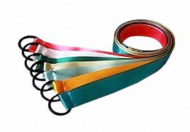 Лента гимнастическая на кольце (1 метр) - fgospostavki.ru - Грозный