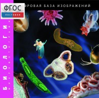Биология. Микрофотографии. (Цифровая база изображений) - fgospostavki.ru - Грозный