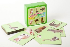 Набор магнитных карточек "Устный счет" (фон зеленый) - fgospostavki.ru - Грозный