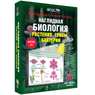 Наглядная биология. 6 класс. Растения. Грибы. Бактерии - fgospostavki.ru - Грозный