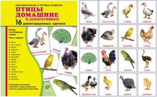 Демонстрационные карточки "Птицы домашние и декоративные" - fgospostavki.ru - Грозный
