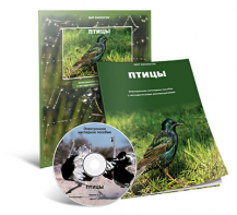 Электронное наглядное пособие «Птицы» - fgospostavki.ru - Грозный