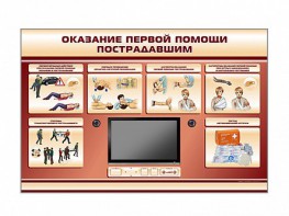 Многофункциональный интерактивный стенд-тренажер "Оказание первой помощи пострадавшим" для учащихся общеобразовательных учреждений - fgospostavki.ru - Грозный