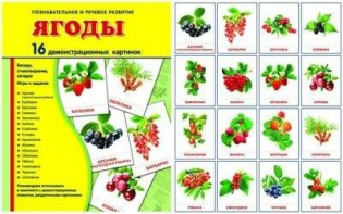 Демонстрационные карточки "Ягоды" - fgospostavki.ru - Грозный