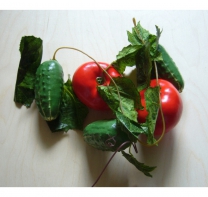 Ветка муляжей "Ассорти" (овощи) - fgospostavki.ru - Грозный