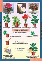 Комплект таблиц. Окружающий мир 1 класс. - fgospostavki.ru - Грозный