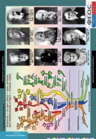 Комплект таблиц. Биология. Введение в экологию. - fgospostavki.ru - Грозный