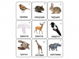 Набор магнитных карточек по музыке "Животные" (9 штук) - fgospostavki.ru - Грозный