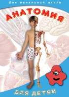 DVD "Анатомия для детей" - fgospostavki.ru - Грозный