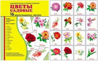 Демонстрационные карточки "Цветы садовые" - fgospostavki.ru - Грозный