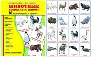 Демонстрационные карточки "Животные холодных широт" - fgospostavki.ru - Грозный
