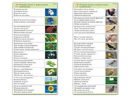 Комплект карточек (10) "Обучающий калейдоскоп. Природа" - fgospostavki.ru - Грозный