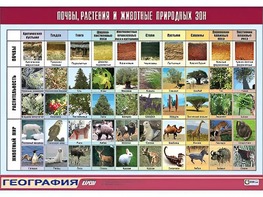 Таблица демонстрационная "Почвы, растения и животные природных зон" (винил 70*100) - fgospostavki.ru - Грозный