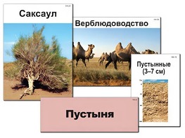 Модель-аппликация "Природные зоны России" (ламинированная) - fgospostavki.ru - Грозный