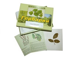 Гербарий "Дикорастущие растения" (30 видов, с иллюстрациями) - fgospostavki.ru - Грозный