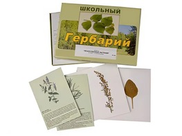 Гербарий "Лекарственные растения" (22 вида с иллюстрациями) - fgospostavki.ru - Грозный