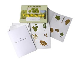 Гербарий "Морфология растений" (6 тем, 30 видов) - fgospostavki.ru - Грозный