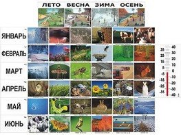 Фенологические наблюдения - fgospostavki.ru - Грозный