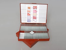 Комплект микропрепаратов "Анатомия" - fgospostavki.ru - Грозный